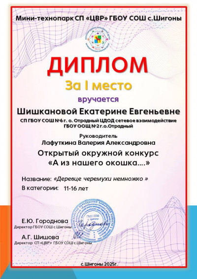 Открытый окружной конкурс &laquo;А из нашего окошка&raquo;