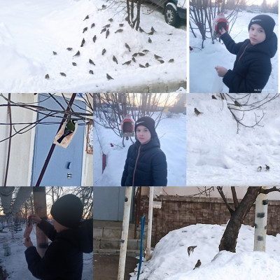 Всероссийская акция «Покормите птиц зимой!»