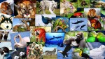 Сайты о животных и природе
