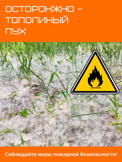 Тополиный пух &mdash; источник пожарной опасности.